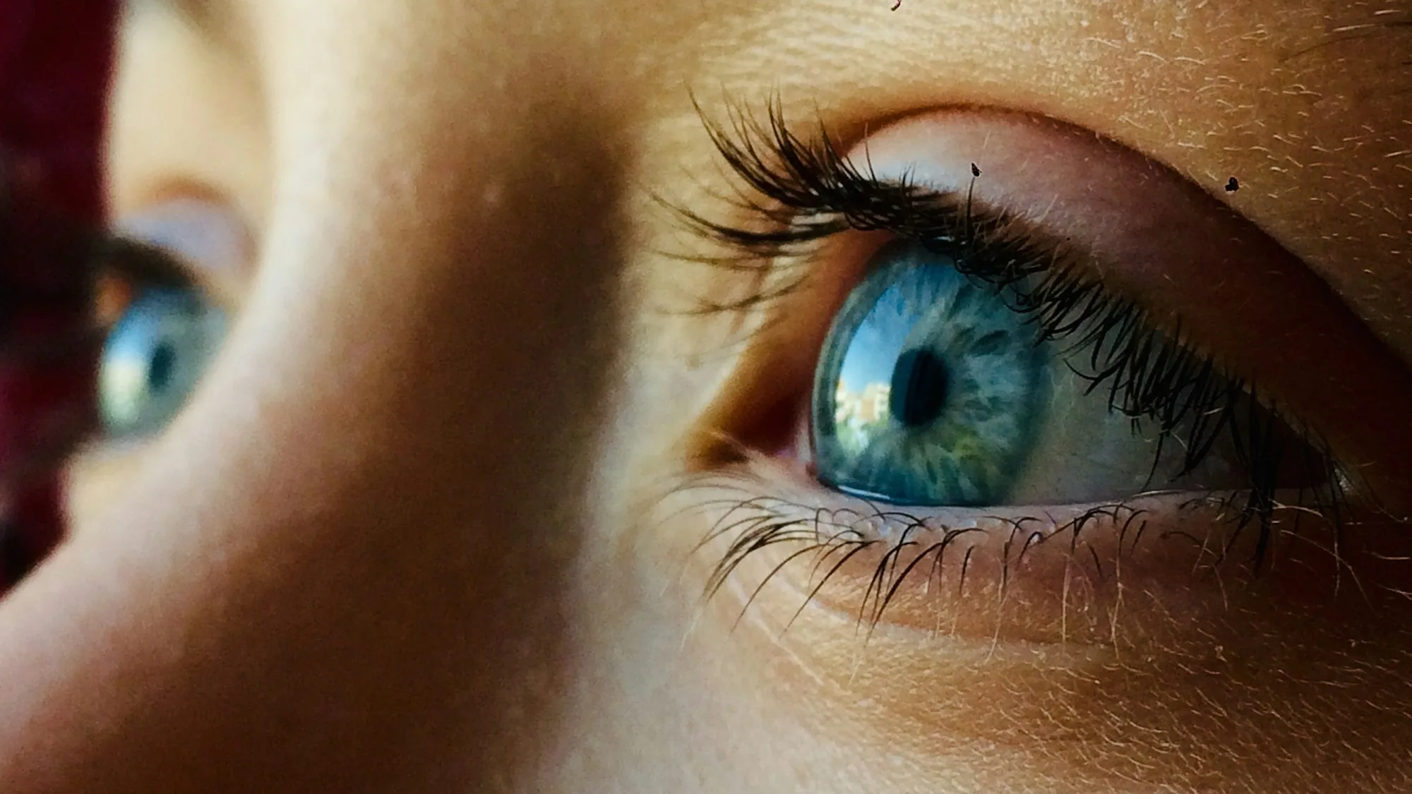 Lentilles